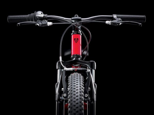 Велосипед Trek Precaliber 24 8Sp Girls (2022)
